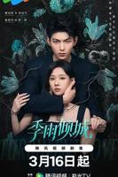 季雨倾城电视剧在线观看全集免费播放