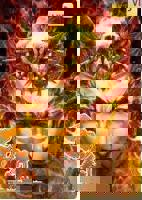 《西行纪》免费高清完整版视频在线观看