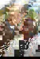 《工地上的女人》电视剧