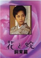 电影《花与蛇1974精修版》中字在线观看高清完整版